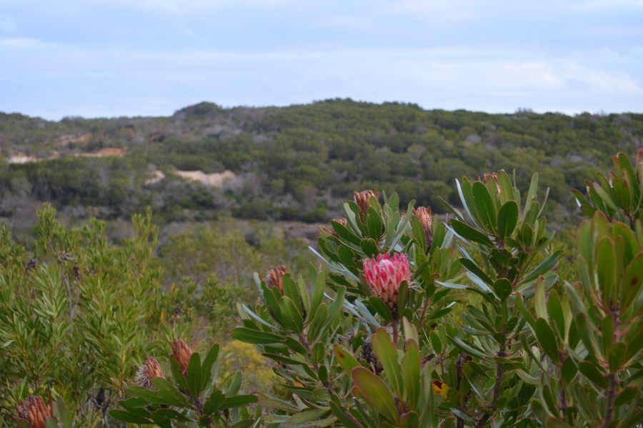 0 Bedroom Property for Sale in Gouritsmond Western Cape